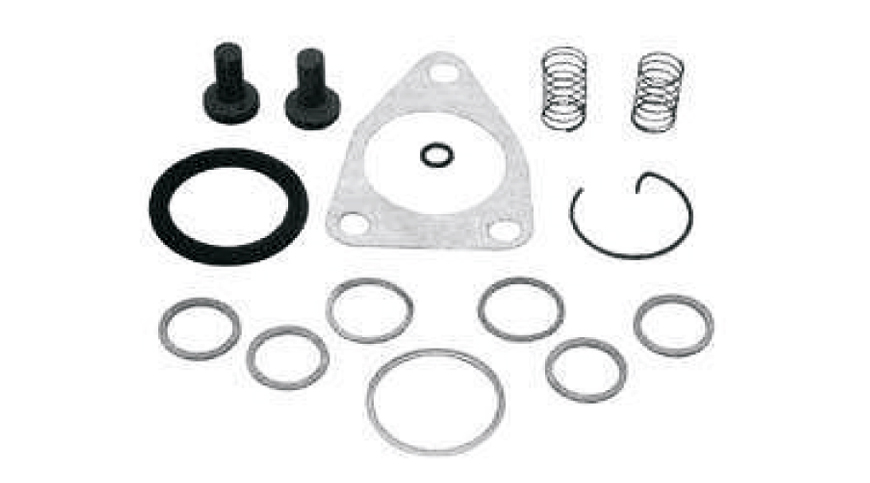 Repair Kits For Feed Pump